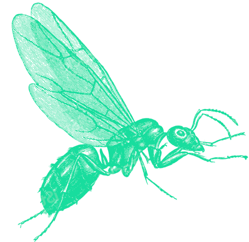 Coworking Fourmi Infos Image