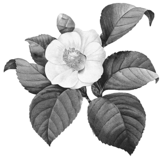 Coworking Fourmi Infos Image