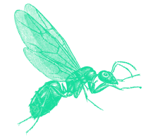 Coworking Fourmi Trial Image